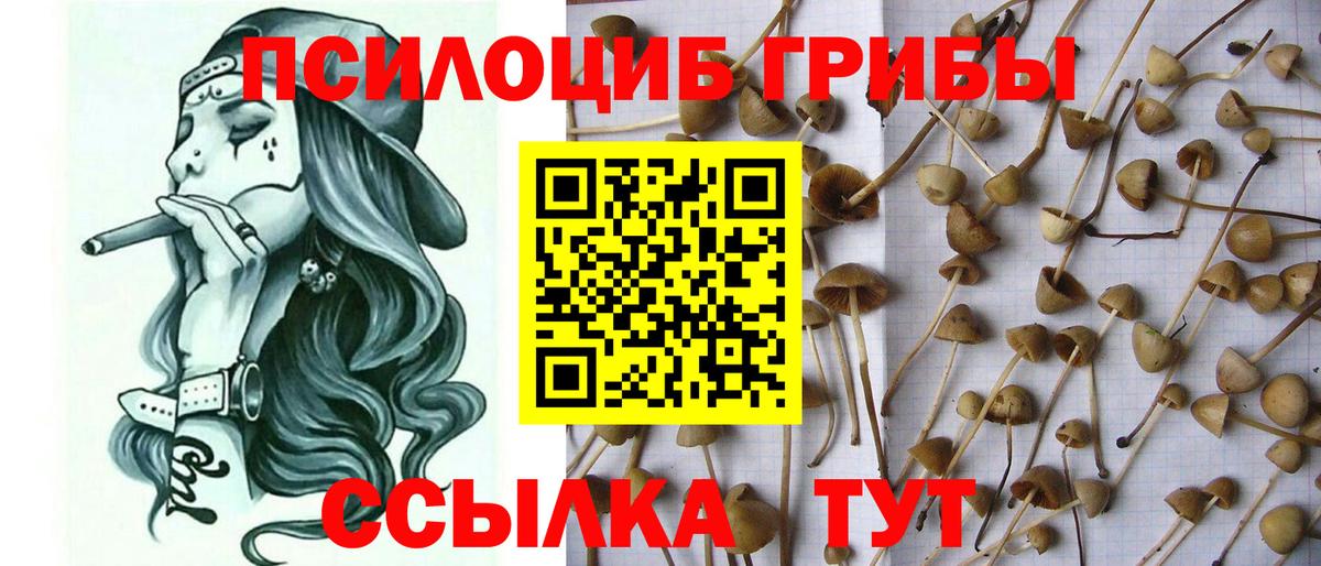 Лангепас  Галлюциногенные грибы Psilocybe  Псилоцибиновые грибы Psilocybine cubensis  Вход с VPN 